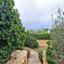 6 bedroom detached house for sale sea caves peyia paphos 1084606 thumbnail 1283348