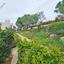 6 bedroom detached house for sale sea caves peyia paphos 1084606 thumbnail 1283353