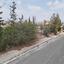 land for sale dali nicosia 1890606 thumbnail 13893413