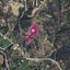land for sale kato pyrgos nicosia 8629606 thumbnail 15869192