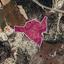 land for sale peyia paphos 8237606 thumbnail 14231241