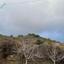 5686 SQM Land for sale in Pelendri, Limassol thumbnail 16656720