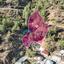 land for sale gerakies nicosia 8607706 thumbnail 15777357