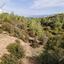 land for sale neo chorio paphos 822706 thumbnail 3403959