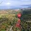 land for sale neo chorio paphos 822706 thumbnail 3403962