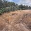 land for sale monagroulli limassol 9004806 thumbnail 18363163