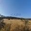 land for sale parekklisia limassol 1844806 thumbnail 6627092