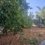4 bedroom detached house for sale kallithea nicosia 8347906 thumbnail 14539932