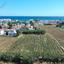 land for sale agia triada famagusta 8665016 thumbnail 16560299
