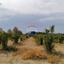land for sale paphos municipality paphos 7949016 thumbnail 15496734