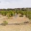 land for sale paphos municipality paphos 7949016 thumbnail 16417410