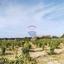 land for sale paphos municipality paphos 7949016 thumbnail 16417412
