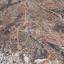 land for sale ypsonas limassol 1189016 thumbnail 11048815
