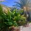 5 bedroom detached house for sale pervolia larnaca 1685116 thumbnail 4408835