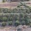 plot for sale pano lefkara larnaca 1565116 thumbnail 16121737