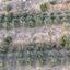 plot for sale pano lefkara larnaca 1565116 thumbnail 16121740