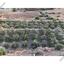 plot for sale pano lefkara larnaca 1565116 thumbnail 18420069