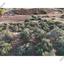 plot for sale pano lefkara larnaca 1565116 thumbnail 18420070
