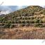 plot for sale pano lefkara larnaca 1565116 thumbnail 18420074