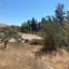 land for sale agios tychonas limassol 8072216 thumbnail 13982907