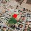 land for sale aradippou larnaca 8088216 thumbnail 13158805