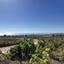land for sale kathikas paphos 8959216 thumbnail 17779231