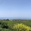 land for sale kathikas paphos 8959216 thumbnail 17779232