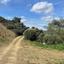land for sale lythrodontas nicosia 8716216 thumbnail 16295157
