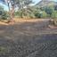 plot for sale trimiklini limassol 1326216 thumbnail 16597853