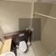 3 bedroom apartment for rent lykavitos nicosia 8083316 thumbnail 15139277