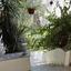 5 bedroom detached house for sale archangelos nicosia 8791316 thumbnail 16673221