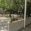 5 bedroom detached house for sale archangelos nicosia 8791316 thumbnail 16673242