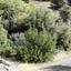 land for sale foinikaria limassol 8676316 thumbnail 16076209