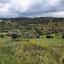 land for sale kapedes nicosia 1828316 thumbnail 15597798