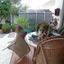 2 bedroom detached house for sale tseri nicosia 947416 thumbnail 5419063