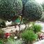 2 bedroom detached house for sale tseri nicosia 947416 thumbnail 5419085