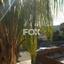5 bedroom detached house for rent souni zanakia limassol 1219416 thumbnail 14868482