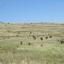 land for sale agia marina kelokedaron paphos 960516 thumbnail 15601963