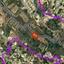 land for sale ineia paphos 8972516 thumbnail 17894375