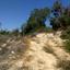 land for sale lofos tala paphos 7739516 thumbnail 17111141