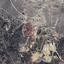 land for sale mitsero nicosia 829516 thumbnail 15258357