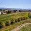 land for sale poli chrysochous paphos 8408516 thumbnail 17052935