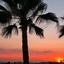 plot for sale anavargos paphos 8237516 thumbnail 14229797