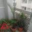 3 bedroom apartment for sale chrysopolitissa larnaca 8649616 thumbnail 17644393