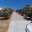 4 bedroom detached house for rent monagroulli limassol 1823616 thumbnail 6377197