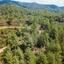 land for sale pera pedi limassol 826616 thumbnail 3002407