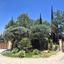 4 bedroom bungalow for sale aphrodite hills paphos 8597716 thumbnail 16234456