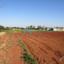 land for sale avgorou famagusta 8838716 thumbnail 17029171