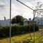 4 bedroom apartment for sale lympia nicosia 8338816 thumbnail 16135881