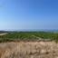 land for sale kouklia pafou paphos 7737816 thumbnail 10195174